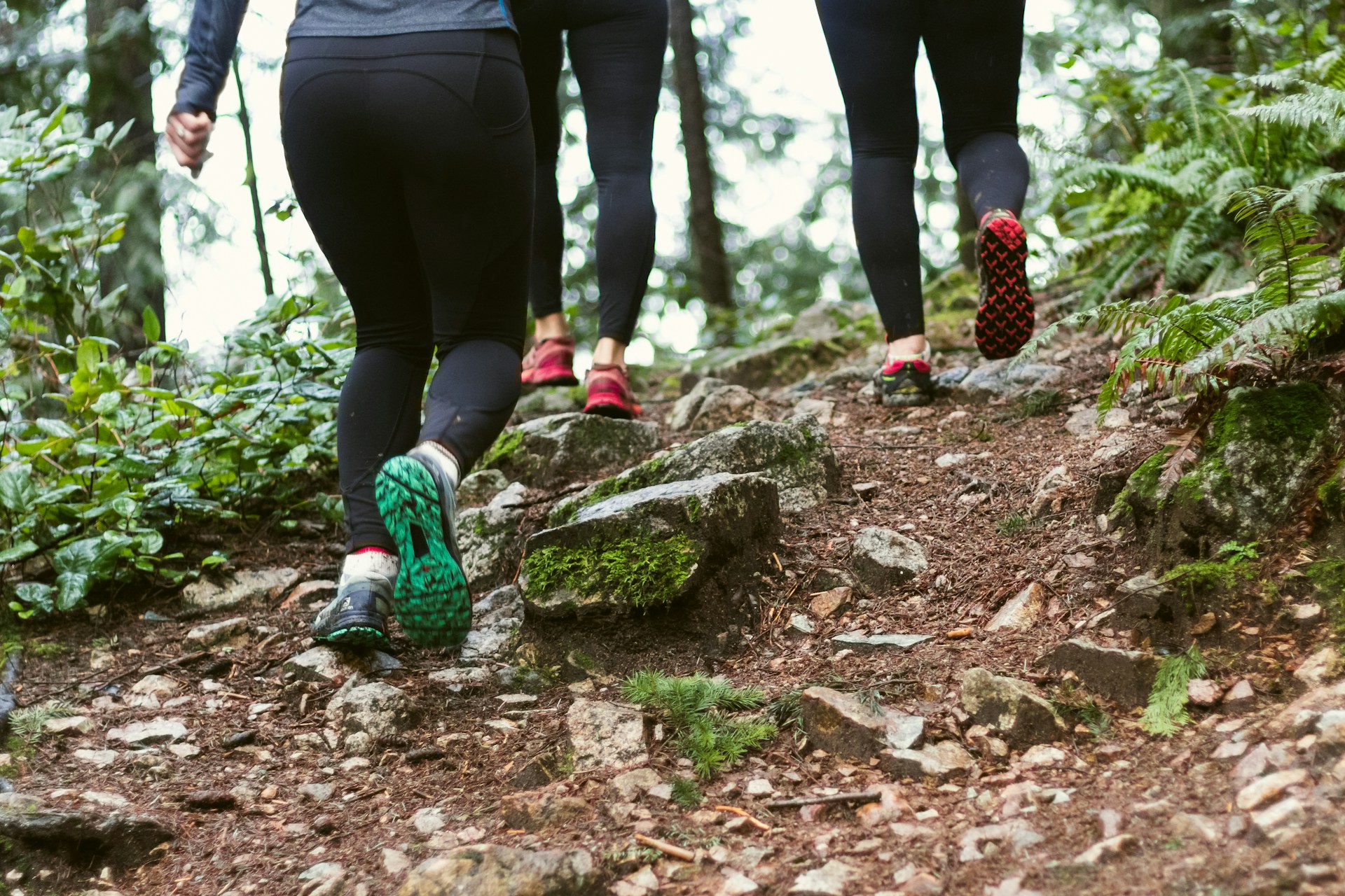 A group of runners in a forest